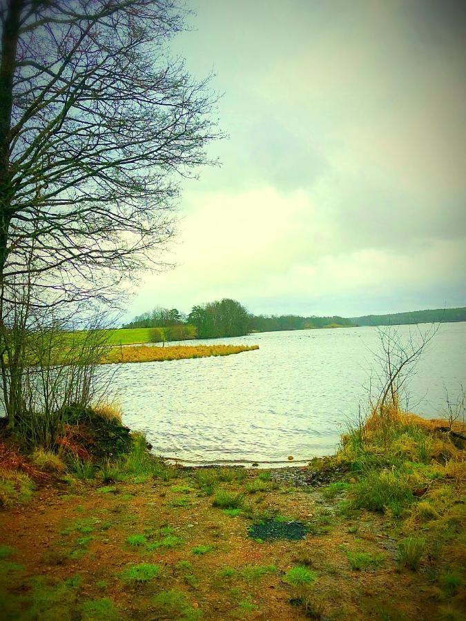 Hagabergets Vandrarhem Ullared Esterno foto